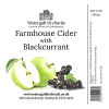 Watergull Orchards Farmhouse Cider with Blackcurrant