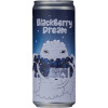 Ten Hands Brewing Blackberry Dream