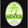 Brasserie Artisanale MilleVertus Sèven 777