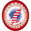 Tonbridge Brewery American Pale