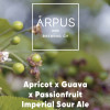 Ārpus Brewing Co. Apricot x Guava x Passionfruit Imperial Sour Ale