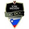 York Brewery Big Dog