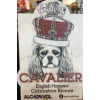 Little Critters Brewing Co. Cavalier