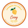 Gueuzerie Tilquin Experimental Fruit Series - Coing - Draft Version
