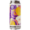 Browarny Craft Beer Biribomba