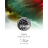 Serious Brewing Prime - Citra
