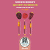 Mile Wide Beer Co. Mixed Berry Quiet Science
