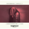 Tempest Brewing Co. Cherry-Coloured Funk