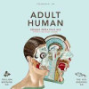 Trillium Brewing Company Adult Human