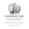 Trillium Brewing Company Blackberry Soak