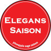 Sebago Brewing Company Elegans Saison