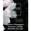 Ārpus Brewing Co. Apricot x Pineapple x Coconut x Vanilla Smoothie Sour Ale