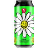 Rock City Brewing Daisy