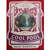 Brewster's Brewery Cool Pool
