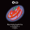 Totopia Brewery Nyctohylophilia