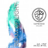 Sapwood Cellars Brewery Beam of Light
