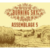 Burning Sky Brewery Assemblage 5