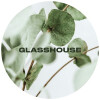 Glasshouse Beer Co Folia