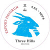 Three Hills Brewing Heidrun - Export (5.5%)
