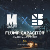 Mason Brewing Co Flump Capacitor