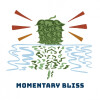 DEYA Brewing Company Momentary Bliss