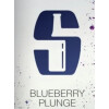 Salikatt Bryggeri Blueberry Plunge