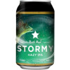 North Peak Brewing Company Stormy