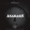 Side Project Brewing Anabasis - Blend #5