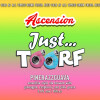 Ascension Brewing Company Just Toorf: Pinerazzguava