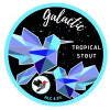 Sunbird Brewing Company Galactic Tropical Stout