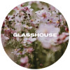 Glasshouse Beer Co Amongst Anemone