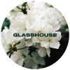 Glasshouse Beer Co Azalea