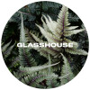 Glasshouse Beer Co Bracken