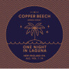 Copper Beech Brewing Co One Night in Laguna