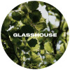 Glasshouse Beer Co Canopy