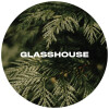 Glasshouse Beer Co Cedar