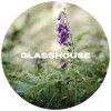Glasshouse Beer Co Digitalis
