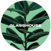 Glasshouse Beer Co Elastica