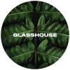 Glasshouse Beer Co Ferns