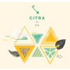 Cierzo Brewing Co. Citra