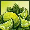 Nova Runda Fruit Expo: Mint & Lime Sour