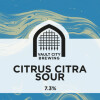 Vault City Citrus Citra Sour