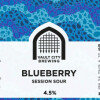 Vault City Blueberry Session Sour