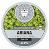 Wantsum Brewery One Hop - Ariana