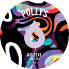 Polly's Brew Co. Big Feat.