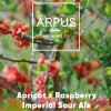 Ārpus Brewing Co. Apricot x Raspberry Imperial Sour Ale
