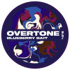 Overtone Brewing Co. Blueberry Bait