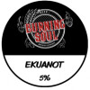 Burning Soul Brewing Company Ekuanot IPA