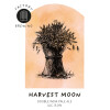 Factory Brewing Harvest Moon