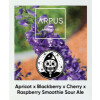 Ārpus Brewing Co. Apricot x Blackberry x Cherry x Raspberry Smoothie Sour Ale